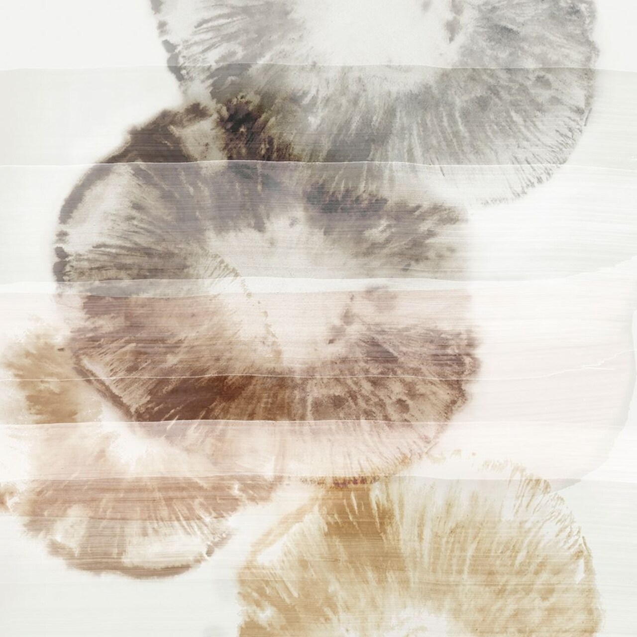 Blue Iris II Neutral Version Poster Print by PI Studio PI Studio # PI136CNEUTRAL